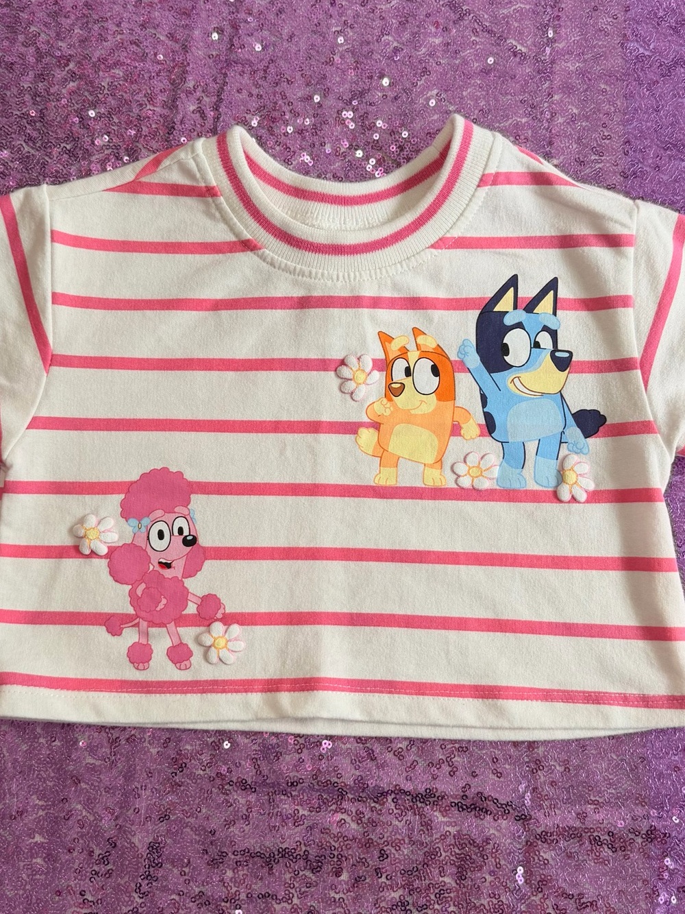 Bluey, Bingo & Coco French Terry 3T Shirt